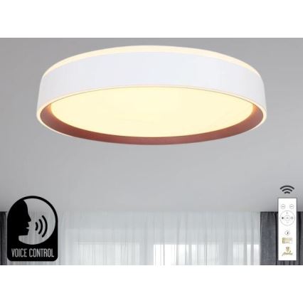 LED Stmívatelné stropní svítidlo s hlasovým ovládáním OPAL LED/48W/230V 2700-6500K bílá + dálkové ovládání