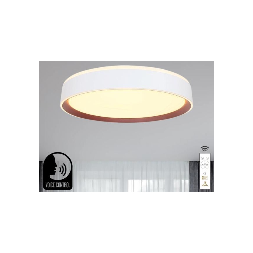 LED Stmívatelné stropní svítidlo s hlasovým ovládáním OPAL LED/48W/230V 2700-6500K bílá + dálkové ovládání