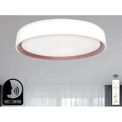 LED Stmívatelné stropní svítidlo s hlasovým ovládáním OPAL LED/48W/230V 2700-6500K bílá + dálkové ovládání