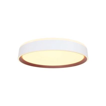 LED Stmívatelné stropní svítidlo s hlasovým ovládáním OPAL LED/48W/230V 2700-6500K bílá + dálkové ovládání