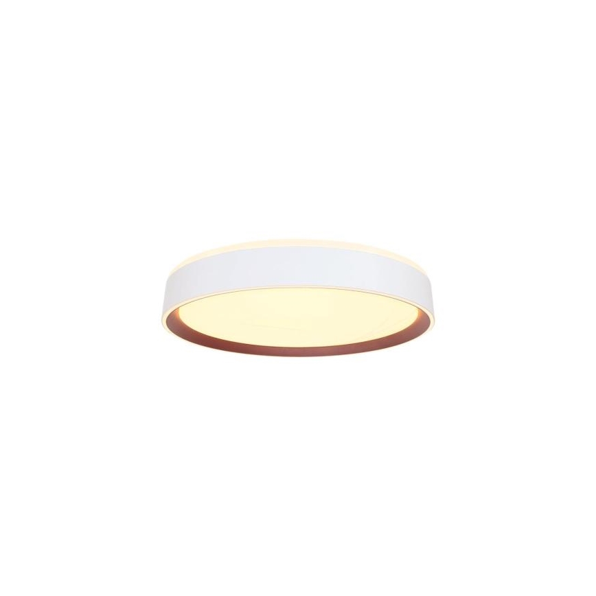 LED Stmívatelné stropní svítidlo s hlasovým ovládáním OPAL LED/48W/230V 2700-6500K bílá + dálkové ovládání