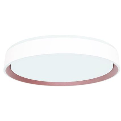 LED Stmívatelné stropní svítidlo s hlasovým ovládáním OPAL LED/48W/230V 2700-6500K bílá + dálkové ovládání
