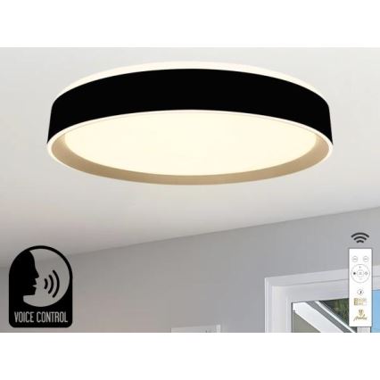 LED Stmívatelné stropní svítidlo s hlasovým ovládáním OPAL LED/48W/230V 2700-6500K černá + dálkové ovládání