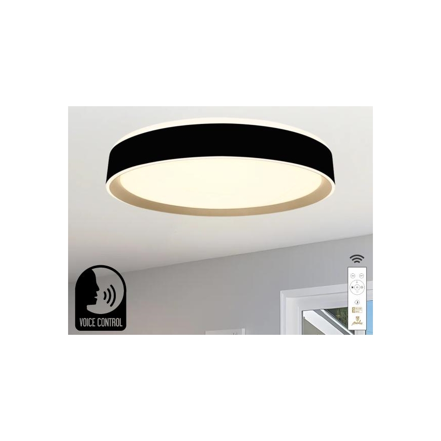 LED Stmívatelné stropní svítidlo s hlasovým ovládáním OPAL LED/48W/230V 2700-6500K černá + dálkové ovládání