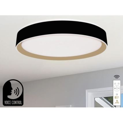 LED Stmívatelné stropní svítidlo s hlasovým ovládáním OPAL LED/48W/230V 2700-6500K černá + dálkové ovládání