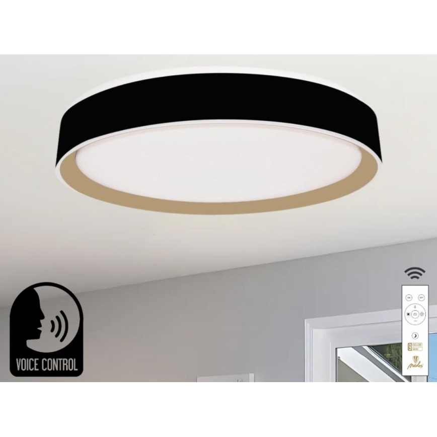 LED Stmívatelné stropní svítidlo s hlasovým ovládáním OPAL LED/48W/230V 2700-6500K černá + dálkové ovládání