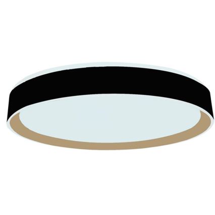 LED Stmívatelné stropní svítidlo s hlasovým ovládáním OPAL LED/48W/230V 2700-6500K černá + dálkové ovládání