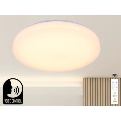 LED Stmívatelné stropní svítidlo s hlasovým ovládáním OPAL LED/48W/230V 2700-6500K bílá + dálkové ovládání