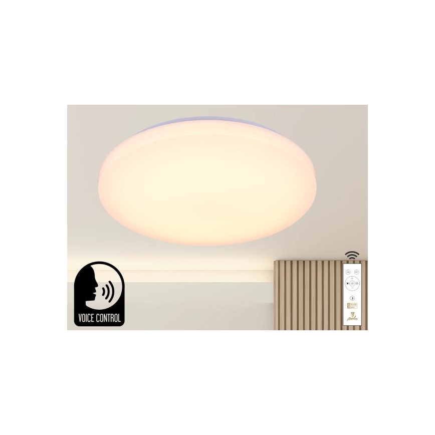 LED Stmívatelné stropní svítidlo s hlasovým ovládáním OPAL LED/48W/230V 2700-6500K bílá + dálkové ovládání