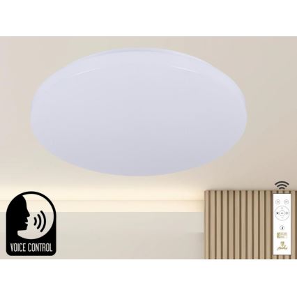 LED Stmívatelné stropní svítidlo s hlasovým ovládáním OPAL LED/48W/230V 2700-6500K bílá + dálkové ovládání