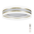 LED Stmívatelné stropní svítidlo SMART CORAL GOLD LED/24W/230V bílá/zlatá + dálkové ovládání