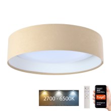 LED Stmívatelné stropní svítidlo SMART GALAXY LED/24W/230V pr. 45 cm 2700-6500K Wi-Fi Tuya béžová/bílá + dálkové ovládání