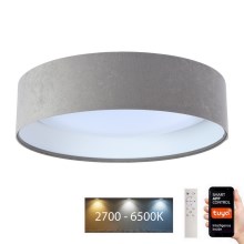 LED Stmívatelné stropní svítidlo SMART GALAXY LED/24W/230V pr. 45 cm 2700-6500K Wi-Fi Tuya šedá/bílá + dálkové ovládání