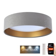 LED Stmívatelné stropní svítidlo SMART GALAXY LED/24W/230V pr. 45 cm 2700-6500K Wi-Fi Tuya šedá/zlatá + dálkové ovládání