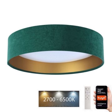 LED Stmívatelné stropní svítidlo SMART GALAXY LED/24W/230V pr. 45 cm 2700-6500K Wi-Fi Tuya zelená/zlatá + dálkové ovládání