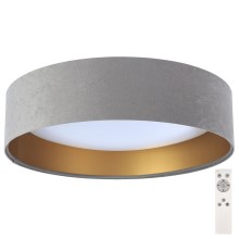 LED Stmívatelné stropní svítidlo SMART GALAXY LED/24W/230V šedá/zlatá 3000-6500K + DO
