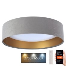 LED Stmívatelné stropní svítidlo SMART GALAXY LED/36W/230V pr. 55 cm 2700-6500K Wi-Fi Tuya šedá/zlatá + dálkové ovládání