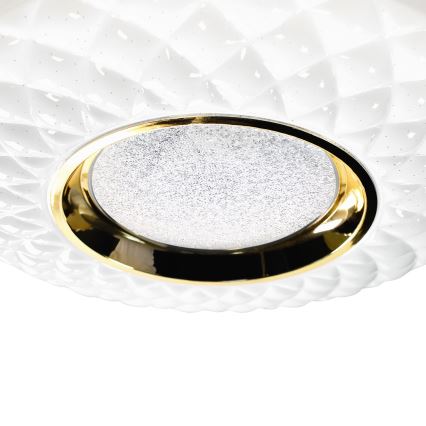 LED Stmívatelné stropní svítidlo TOKYO LED/48W/230V 3000-6000K + dálkové ovládání