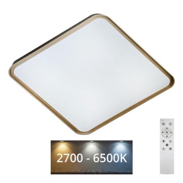 LED Stmívatelné stropní svítidlo UNA LED/60W/230V 2700-6500K 50x50 cm + dálkové ovládání