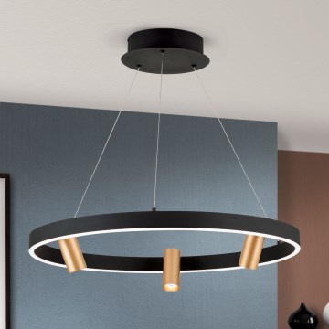 LED Stmívatelný lustr na lanku BERLIN LED/50W/230V černá/zlatá
