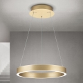 LED Stmívatelný lustr na lanku KOLK LED/40W/230V 2700/3000/4000K pr. 40 cm zlatá