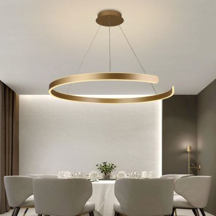LED Stmívatelný lustr na lanku LED/100W/230V 3000-6500K pr. 80 cm + dálkové ovládání