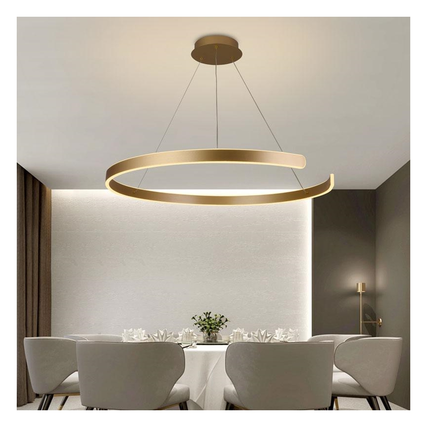 LED Stmívatelný lustr na lanku LED/100W/230V 3000-6500K pr. 80 cm + dálkové ovládání