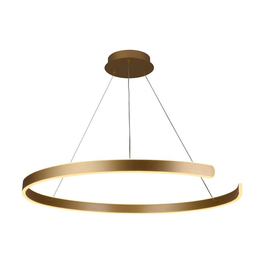 LED Stmívatelný lustr na lanku LED/100W/230V 3000-6500K pr. 80 cm + dálkové ovládání