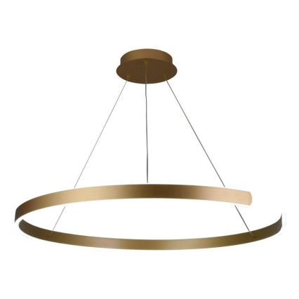 LED Stmívatelný lustr na lanku LED/100W/230V 3000-6500K pr. 80 cm + dálkové ovládání