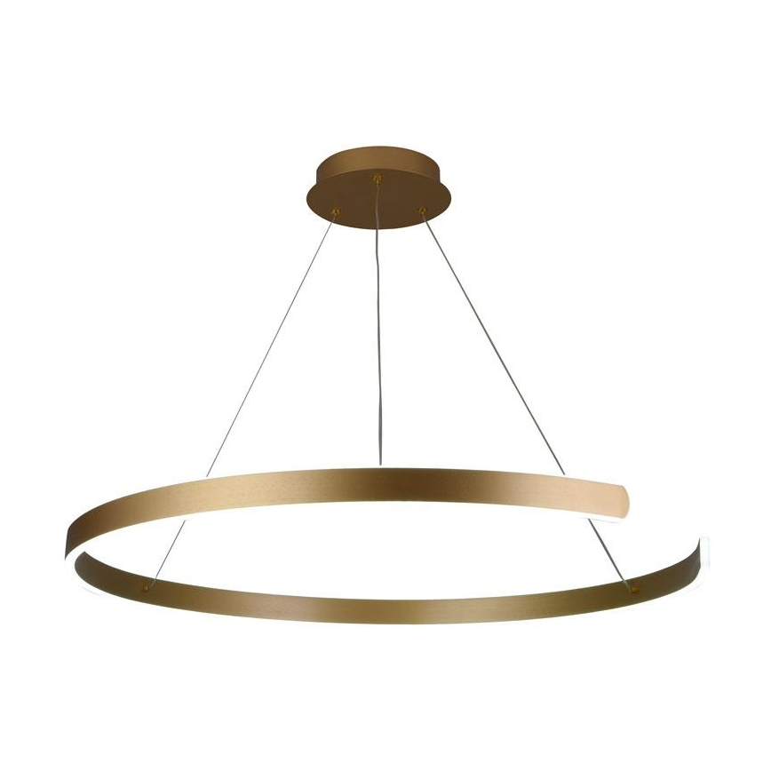 LED Stmívatelný lustr na lanku LED/100W/230V 3000-6500K pr. 80 cm + dálkové ovládání