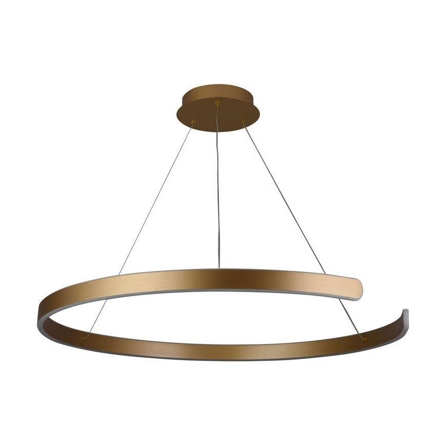 LED Stmívatelný lustr na lanku LED/100W/230V 3000-6500K pr. 80 cm + dálkové ovládání