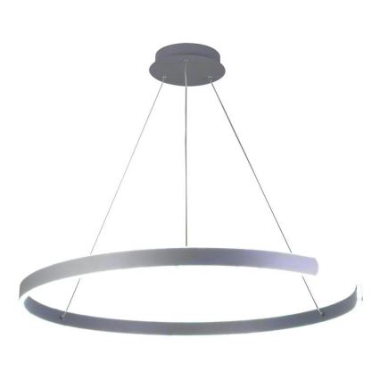 LED Stmívatelný lustr na lanku LED/100W/230V 3000-6500K pr. 80 cm + dálkové ovládání