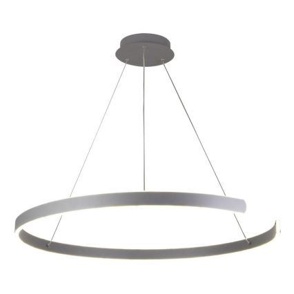 LED Stmívatelný lustr na lanku LED/100W/230V 3000-6500K pr. 80 cm + dálkové ovládání