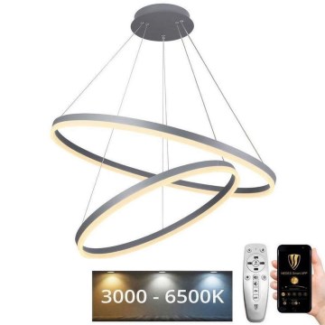 LED Stmívatelný lustr na lanku LED/100W/230V 3000-6500K pr. 80 cm + dálkové ovládání