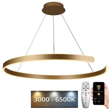 LED Stmívatelný lustr na lanku LED/100W/230V 3000-6500K pr. 80 cm + dálkové ovládání