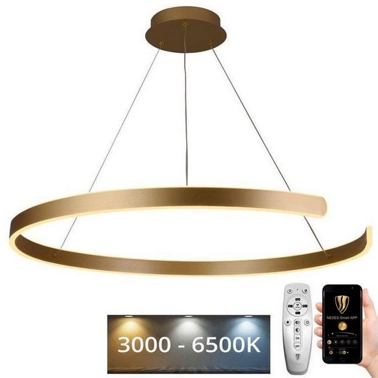 LED Stmívatelný lustr na lanku LED/100W/230V 3000-6500K pr. 80 cm + dálkové ovládání