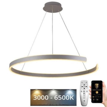 LED Stmívatelný lustr na lanku LED/100W/230V 3000-6500K pr. 80 cm + dálkové ovládání