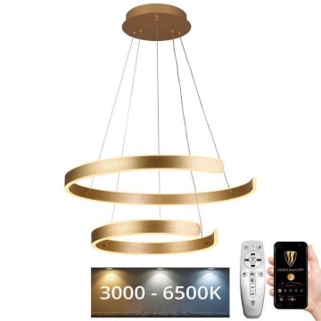 LED Stmívatelný lustr na lanku LED/120W/230V 3000-6500K pr. 60 cm + dálkové ovládání