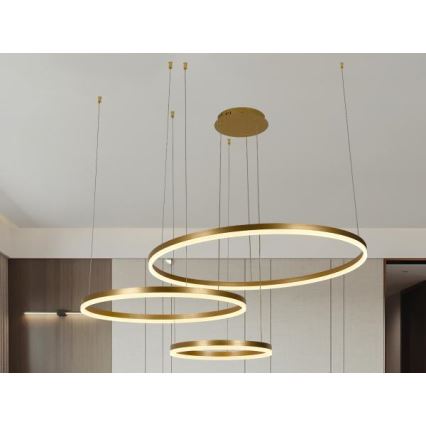 LED Stmívatelný lustr na lanku LED/125W/230V 3000-6500K + dálkové ovládání