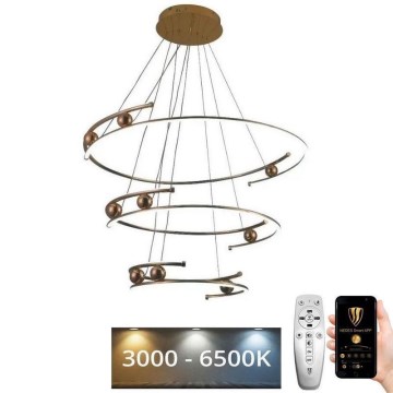 LED Stmívatelný lustr na lanku LED/170W/230V 3000-6500K pr. 80 cm + dálkové ovládání