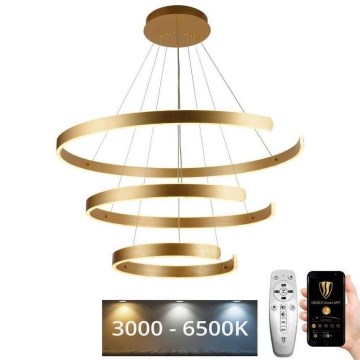 LED Stmívatelný lustr na lanku LED/220W/230V 3000-6500K pr. 80 cm + dálkové ovládání