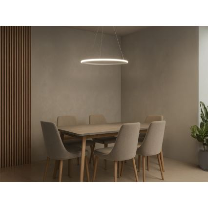 LED Stmívatelný lustr na lanku LED/32W/230V 3000-6500K pr. 60 cm + dálkové ovládání