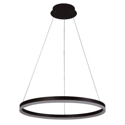 LED Stmívatelný lustr na lanku LED/42W/230V 3000-6500K pr. 60 cm + dálkové ovládání