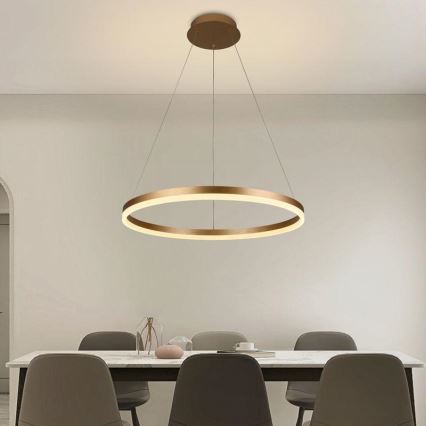 LED Stmívatelný lustr na lanku LED/42W/230V 3000-6500K pr. 60 cm + dálkové ovládání
