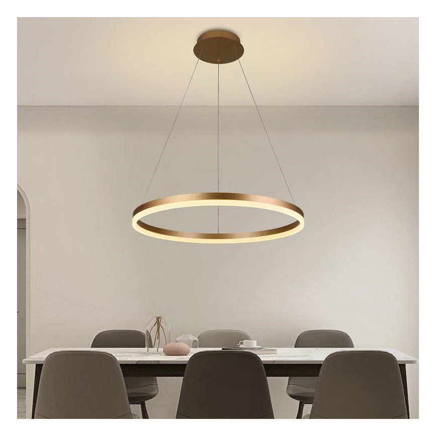 LED Stmívatelný lustr na lanku LED/42W/230V 3000-6500K pr. 60 cm + dálkové ovládání