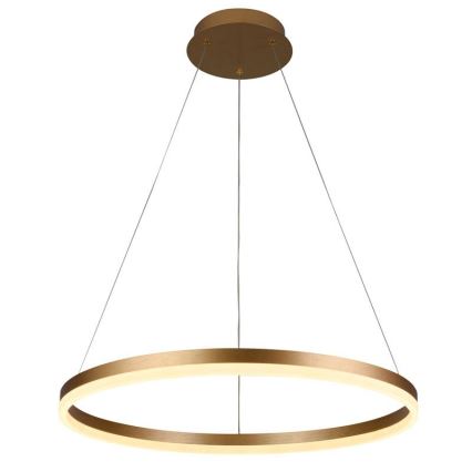 LED Stmívatelný lustr na lanku LED/42W/230V 3000-6500K pr. 60 cm + dálkové ovládání