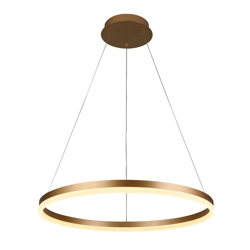 LED Stmívatelný lustr na lanku LED/42W/230V 3000-6500K pr. 60 cm + dálkové ovládání