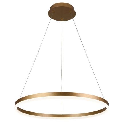 LED Stmívatelný lustr na lanku LED/42W/230V 3000-6500K pr. 60 cm + dálkové ovládání
