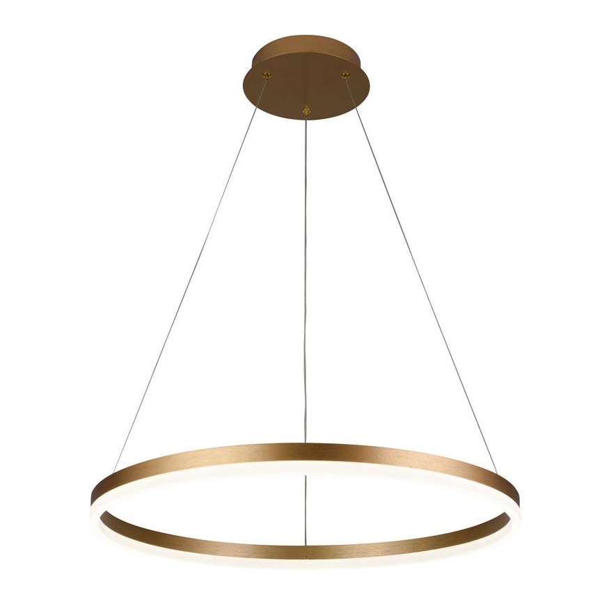 LED Stmívatelný lustr na lanku LED/42W/230V 3000-6500K pr. 60 cm + dálkové ovládání