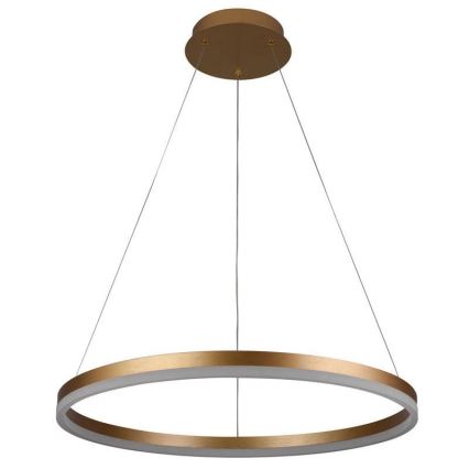 LED Stmívatelný lustr na lanku LED/42W/230V 3000-6500K pr. 60 cm + dálkové ovládání